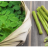 Why You Should Add Moringa to Your Diet: Top 8 Benefits