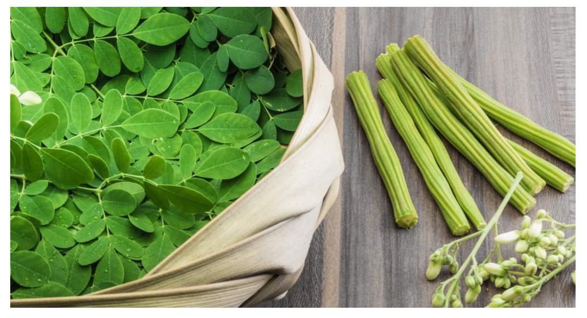 Why You Should Add Moringa to Your Diet: Top 8 Benefits