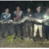 100 kg Burmese Python Rescued at Assam University; Video Goes Viral